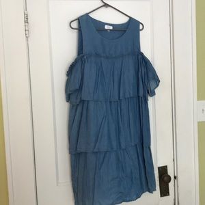 Chambray Dress